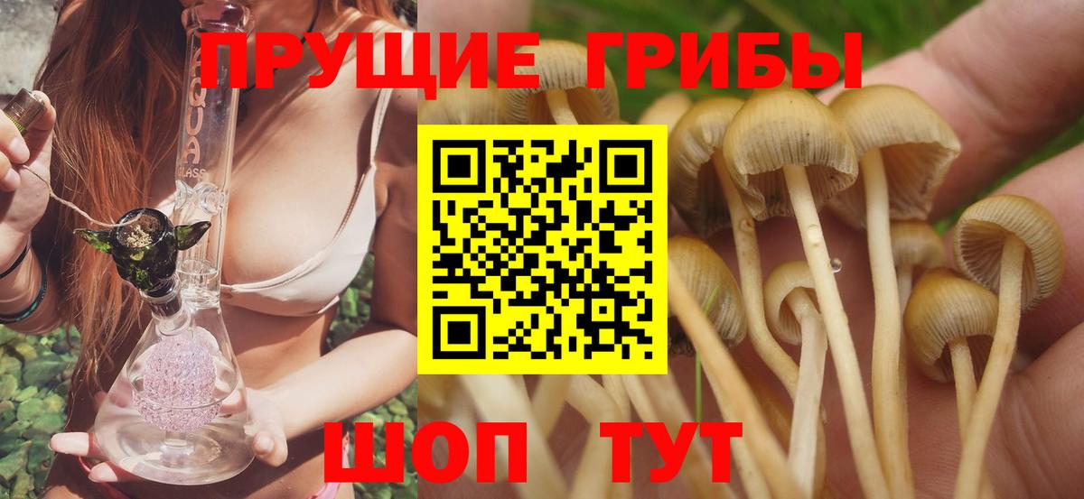 Псилоцибиновые грибы Psilocybine cubensis Оренбург