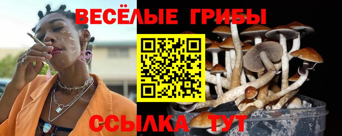 Галлюциногенные грибы Psilocybine cubensis  Вход с VPN  купить наркотик  Оренбург 